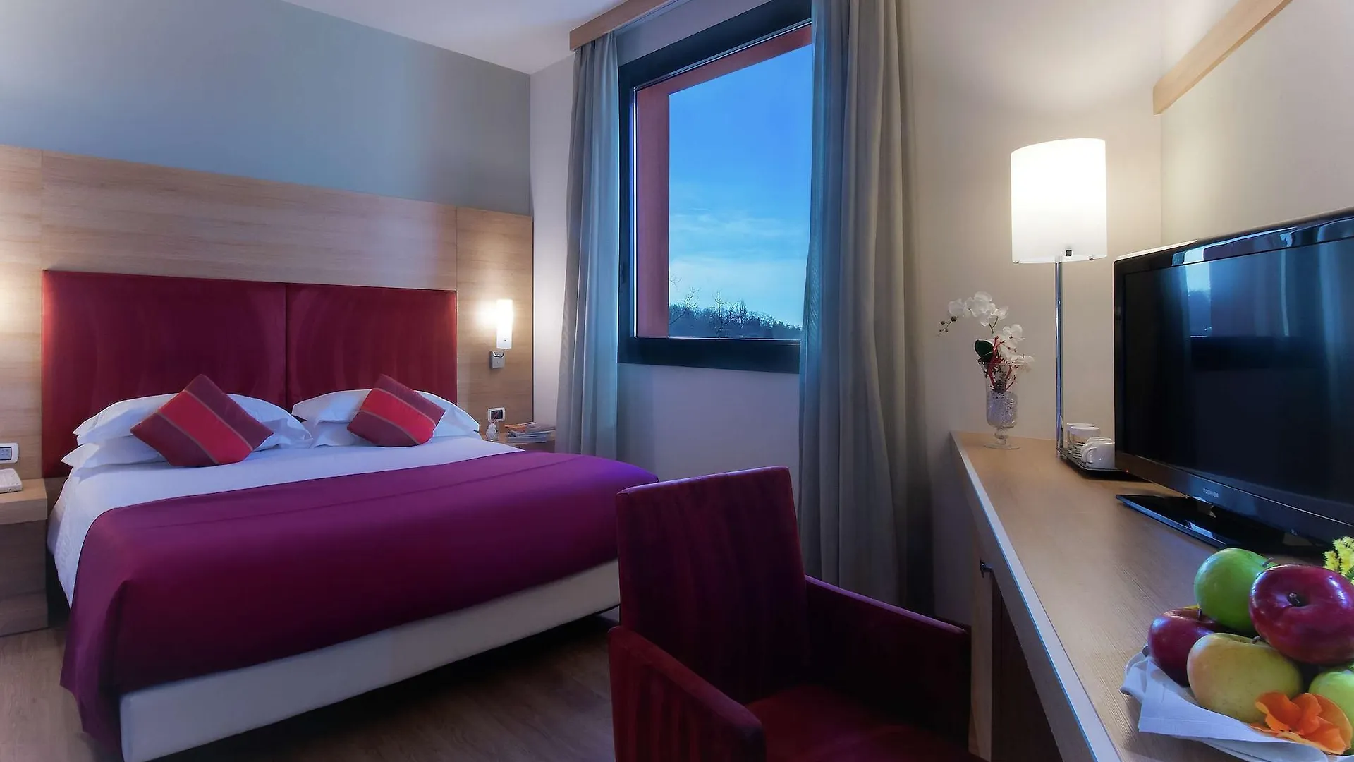 Hilton Garden Inn Milan Malpensa Somma Lombardo